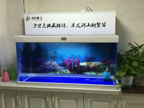 私人定制上過濾魚缸