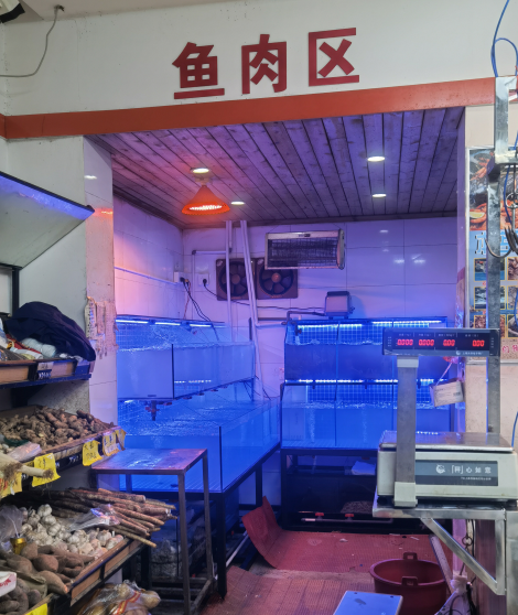 小區(qū)蔬菜店海鮮池 菜店魚池 超市魚池